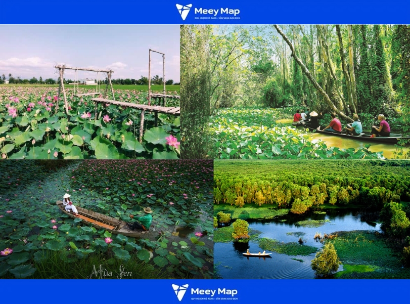Khu du lịch sinh thái Đồng Tháp Mười