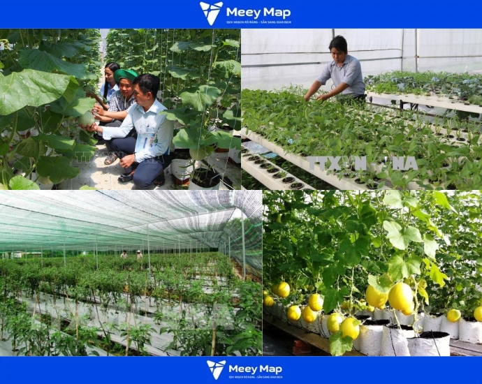 Khu nông nghiệp ứng dụng công nghệ cao Hậu Giang