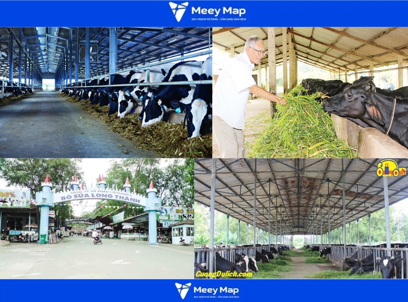 Bản đồ Huyện Long Thành, Đồng Nai| Quy hoạch sử dụng đất 32 Trại bò sữa Long Thành