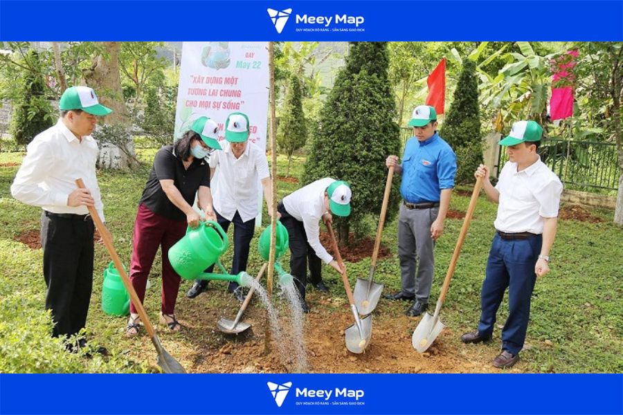 Thiết kế đô thị thích ứng