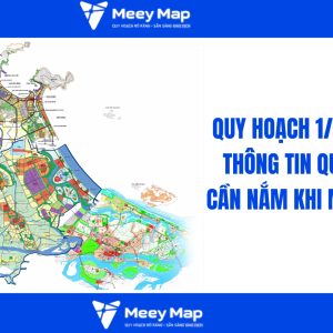 quy hoach 1 2000 la gi 1