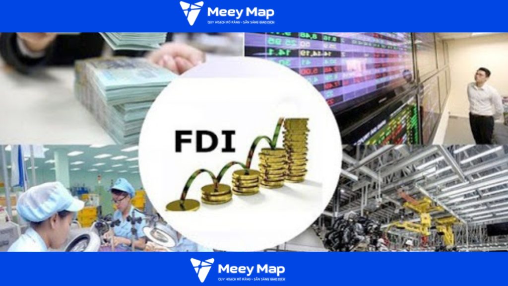 quy hoach 1 2000 la gi 2