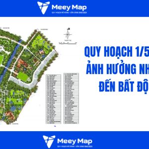 quy hoach 1 5000 la gi 1