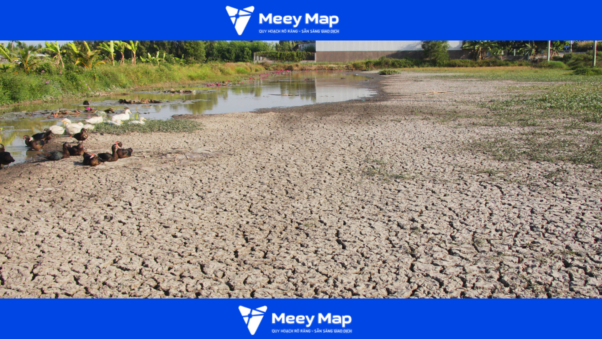 Xâm nhập mặn ảnh hưởng trực tiếp đến nông nghiệp