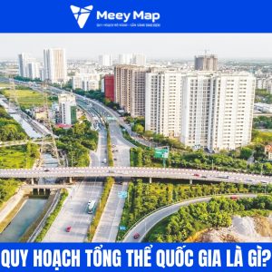 **Rút gọn:** Quy hoạch tổng thể quốc gia là quy hoạch nền tảng làm cơ sở cho quy hoạch vùng, tỉnh và ngành.