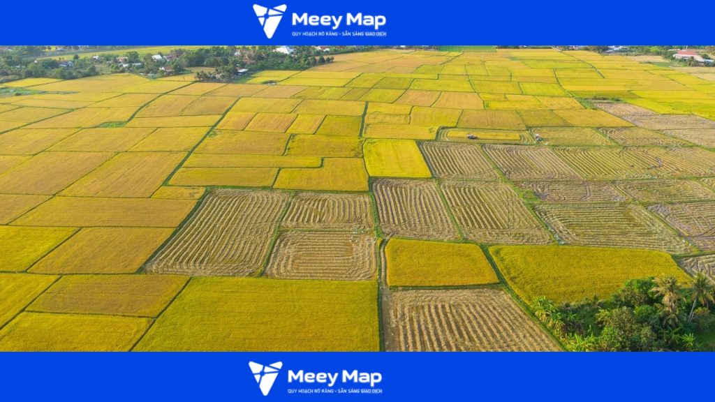 Quy hoạch đất nông nghiệp là việc phân bổ và khoanh vùng diện tích đất dành cho sản xuất nông nghiệp trong từng giai đoạn phát triển của địa phương hoặc cả nước.