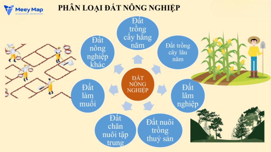 Hướng dẫn tra cứu quy hoạch đất nông nghiệp đúng chuẩn để tránh rủi ro khi đầu tư 5 Các loại đất nông nghiệp