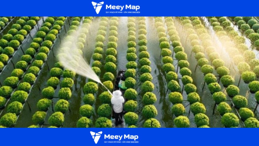 Điều kiện tự nhiên là yếu tố quan trọng ảnh hưởng đến quá trình quy hoạch đất nông nghiệp