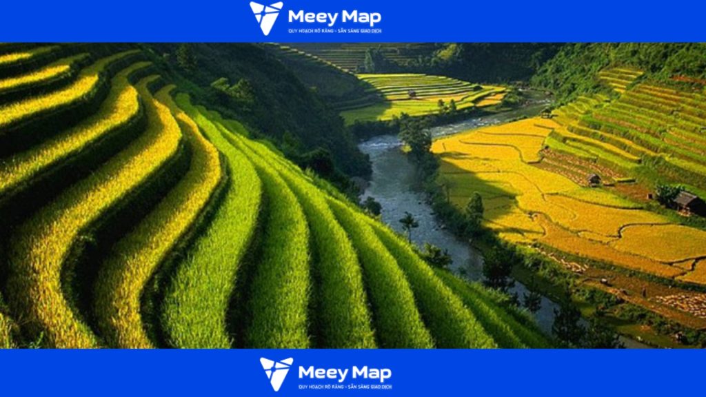 Môi trường và tài nguyên là yếu tố quan trọng ảnh hưởng trực tiếp đến quy hoạch tổng thể phát triển kinh tế xã hội