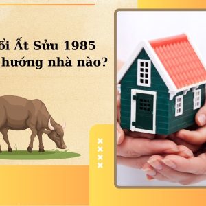 1985 Hợp Hướng Nhà