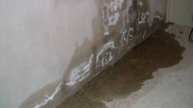 Cách Khắc Phục Chân Tường Nhà Bị Thấm Nước – Nguyên Nhân, Giải Pháp & Hướng Dẫn Từng Bước 5 Cách Khắc Phục Chân Tường Nhà Bị Thấm Nước