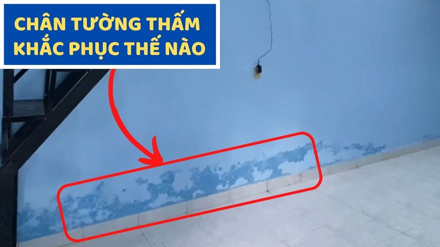 Cách Khắc Phục Chân Tường Nhà Bị Thấm Nước – Nguyên Nhân, Giải Pháp & Hướng Dẫn Từng Bước 8 Chi Phí Tham Khảo Khi Khắc Phục Chân Tường Bị Thấm