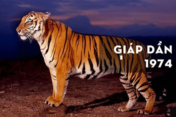 1974 Hợp Hướng Nhà Nào? – Hướng Dẫn Phong Thủy Chi Tiết Cho Tuổi Giáp Dần 1974 6 Giáp Dần 1974