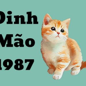 Tuổi 1987 – Đinh Mão