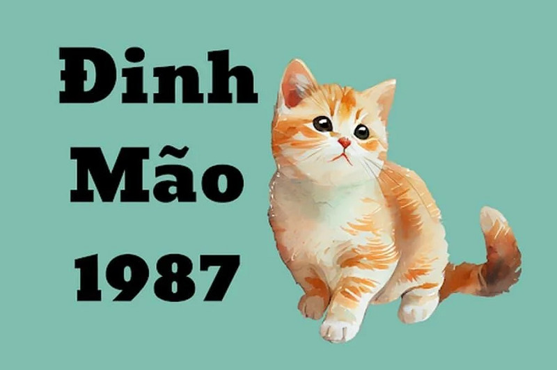 1987 Hợp Hướng Nào? Xem Hướng Nhà Tuổi Đinh Mão Chuẩn Phong Thủy, Thu Hút Tài Lộc 3 Tuổi 1987 – Đinh Mão