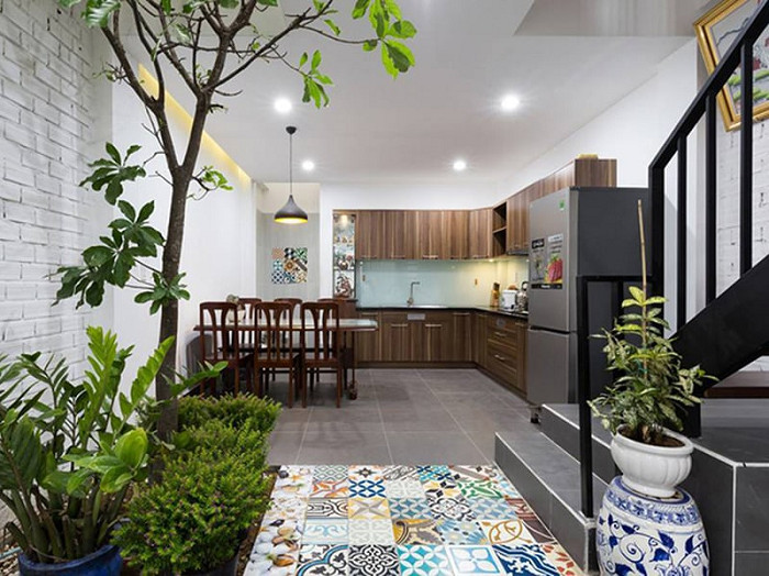 Cây To Trồng Trong Nhà – Gợi Ý Đẹp, Dễ Chăm Sóc & Hợp Phong Thủy 8 Cây to trồng trong nhà