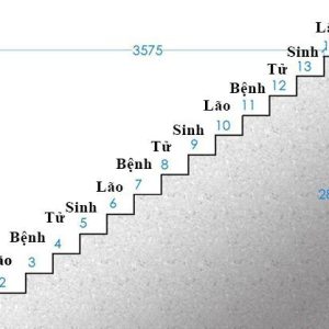 Chọn Số Bậc Cầu Thang Theo Phong Thủy
