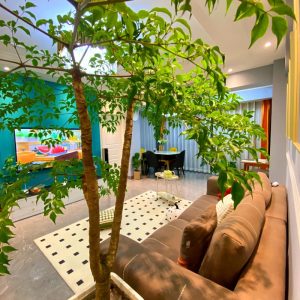 Đặt cây Phòng khách