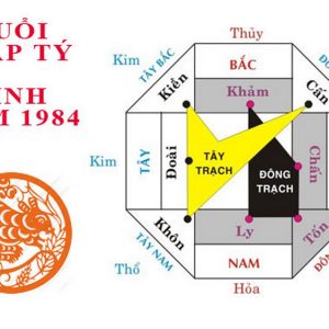 Giáp tý hợp hướng nào