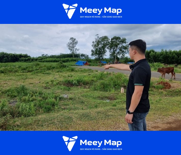 tra cứu quy hoạch sử dụng đất trước khi mua đất